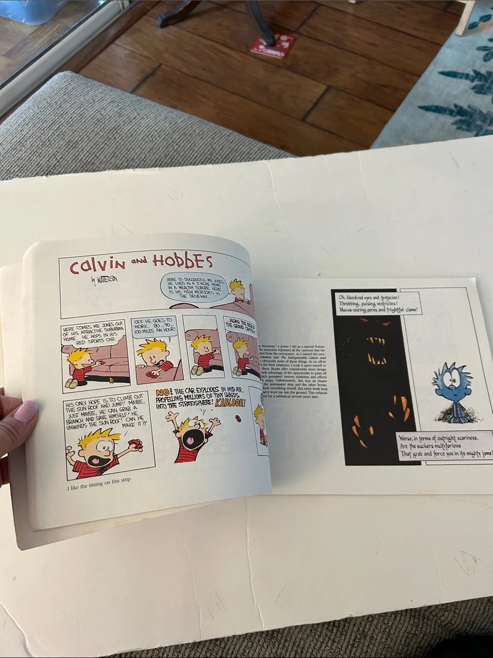 Calvin and Hobbes Tenth Anniversary Book by bill watterson copyright 1995